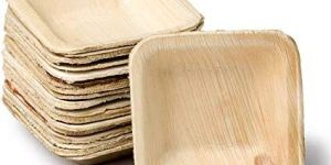 Areca Leaf Plates