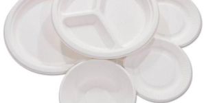 Bagasse Plates