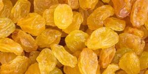 Yellow Raisins