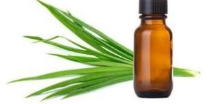 Ginger Grass Oil