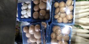 Portabello Fresh Mushroom