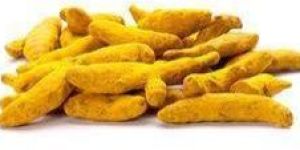Turmeric Finger