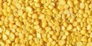 Moong Dal
