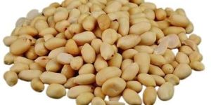 Blanched Peanut Kernels