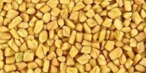 Fenugreek Seeds