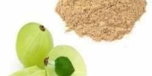 Amalaki Extract Powder