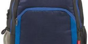 Polyester Xeno Laptop Backpack