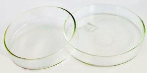 Laboratory Glass Petri Dish