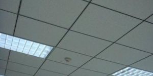 Gypsum Sheet Ceiling Services