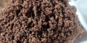 Potting Soil Mixture