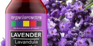 Lavender Oil