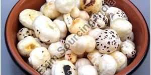 Lotus Seeds