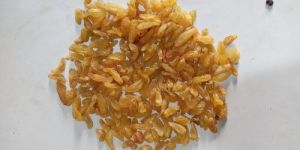 Golden Raisins