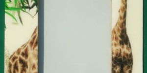 Wooden Photo Frame