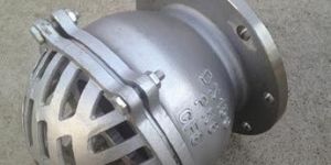 Stainless Steel Foot Valve
