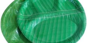 Banana Leaf Plate