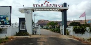 Real Estate Consultant