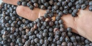 Black Pepper