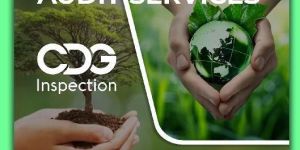 Green Audit Services in Sonipat
