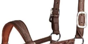 Leather Halter