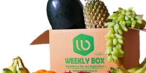 Fresh Fruit Delivery Services