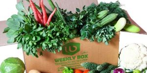 Fresh Vegetables