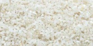 Broken Non Basmati Rice
