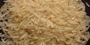 Pusa Basmati Rice