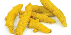Turmeric Finger