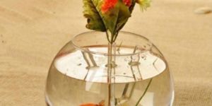 Glass Fish Bowl