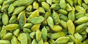 Green Cardamom
