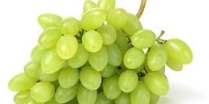 Fresh Grapes