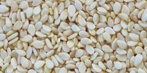 White Sesame Seeds