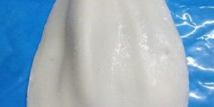 Frozen Squid Fish