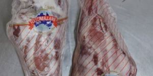 Lamb Leg Bone