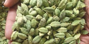 Green Cardamom