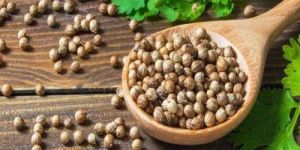 Coriander Seeds