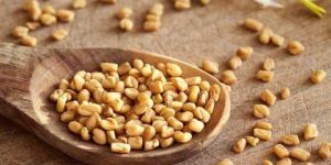 Fenugreek Seeds