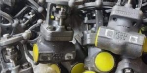 KSB Forged Globe Valve Socket Weld, Threaded End