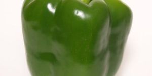 Capsicum