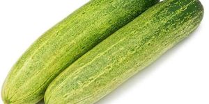 Cucumber