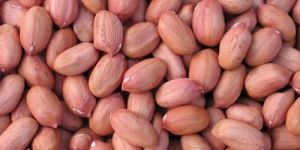 Bold Groundnuts