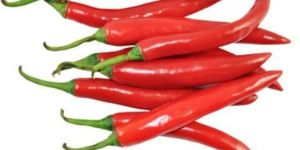 Red Chilli
