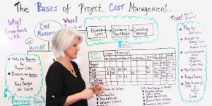 Consult on Project Cost and Manufacturing Solution