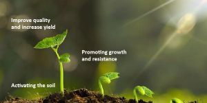 Biomax Organic Stimulant