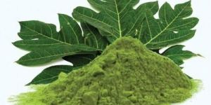 Carica Papaya Extract