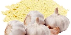 Garlic Extract