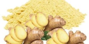 GINGER EXTRACT