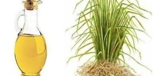 Vetiver Oil