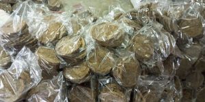 Cow Dung
